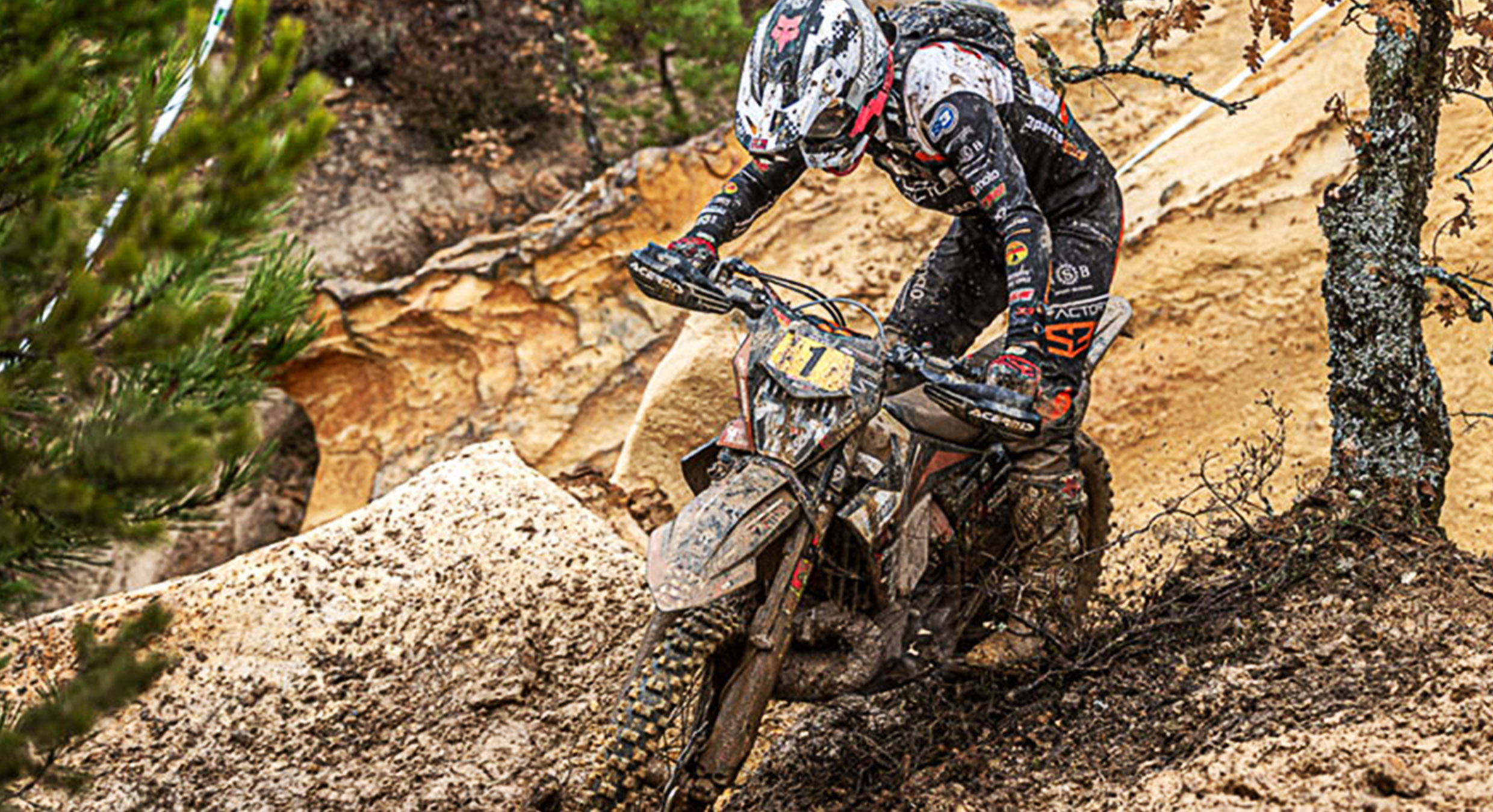 Brillante temporada de Francesc Moretti